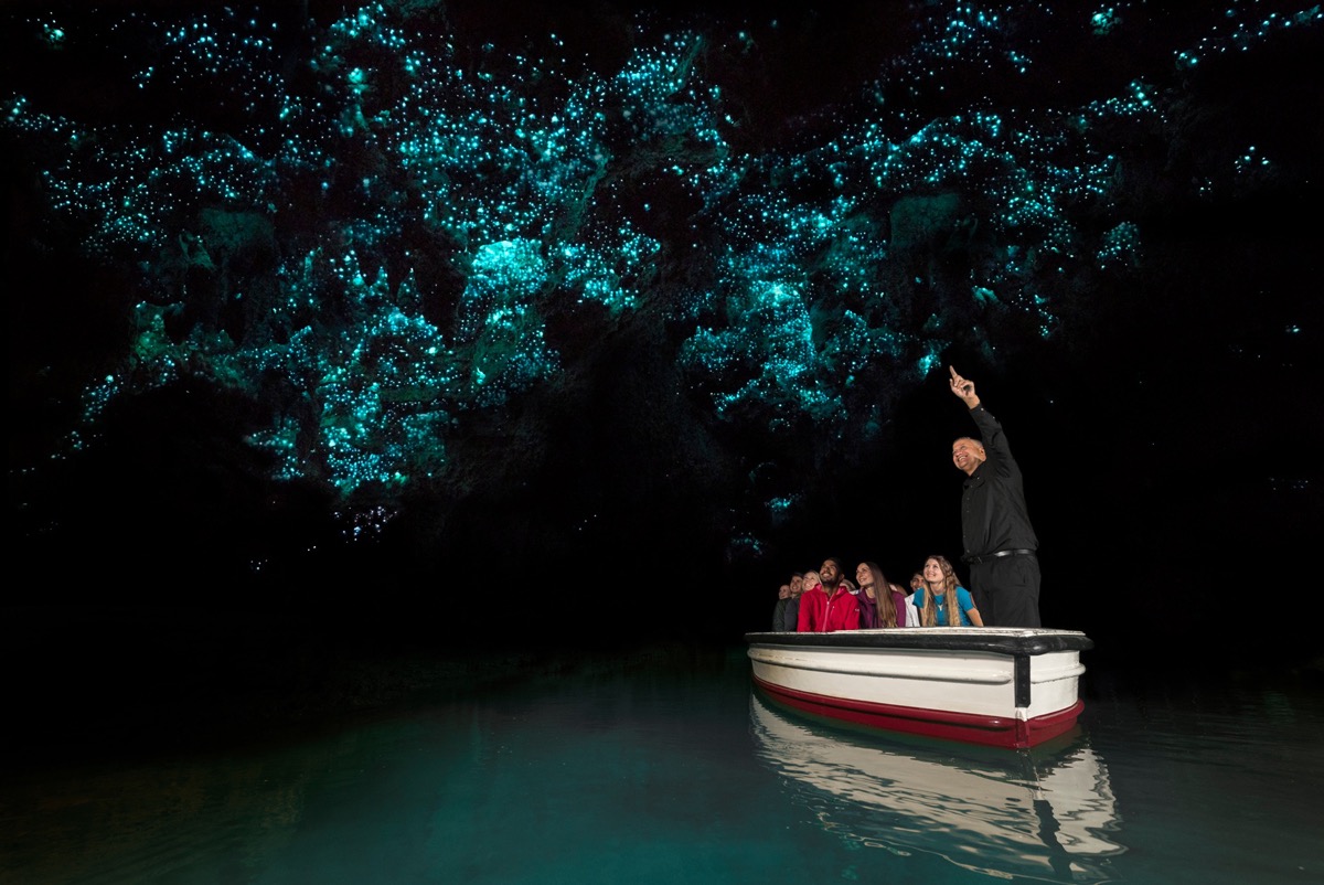 Waitomo Glowworm Caves, New Zealand