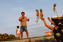 210px-Floating-Market-3